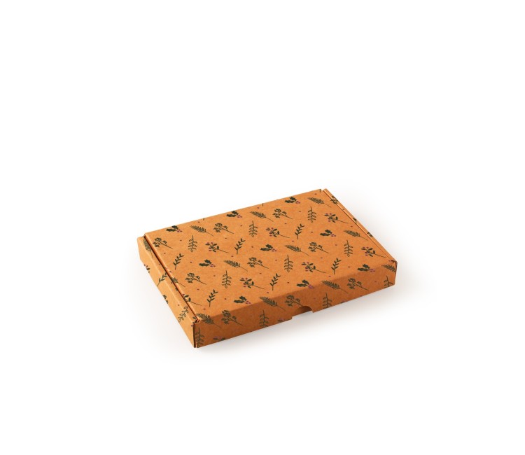 Caja de envio postal especial Navidad Caja de envio postal especial Navidad