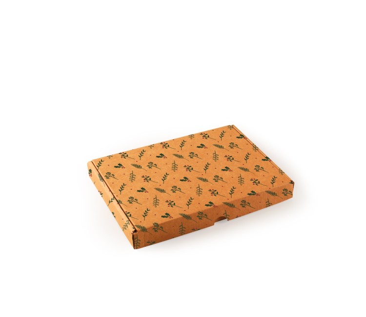 Postal delivery box for Christmas