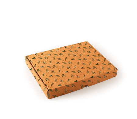 Postal delivery box for Christmas