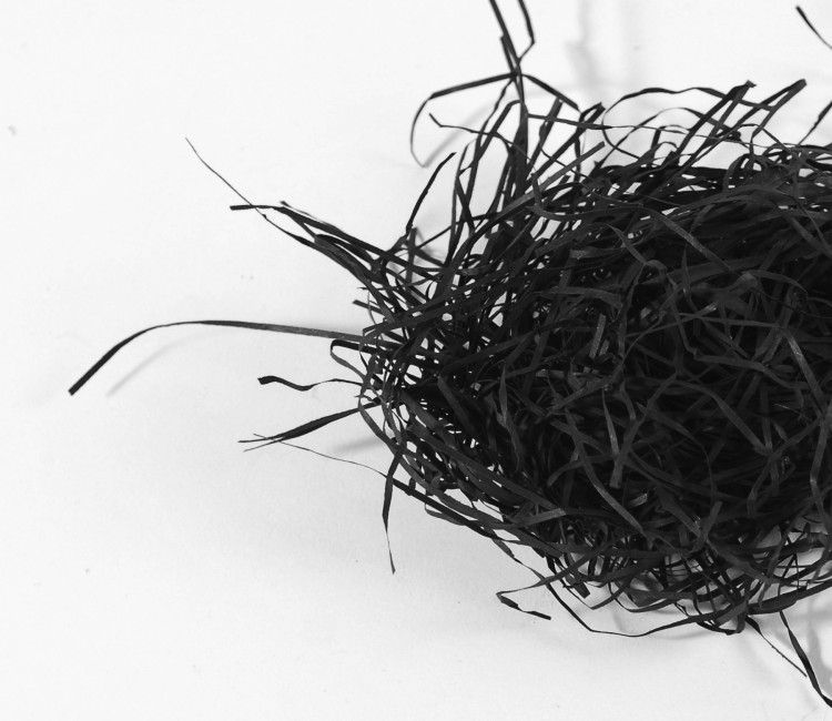 Papierschnipsel als Füllung von Kartons Papierschnipsel als Füllung von Kartons