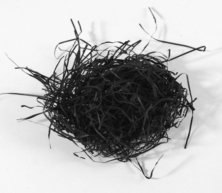 Papierschnipsel als Füllung von Kartons Papierschnipsel als Füllung von Kartons