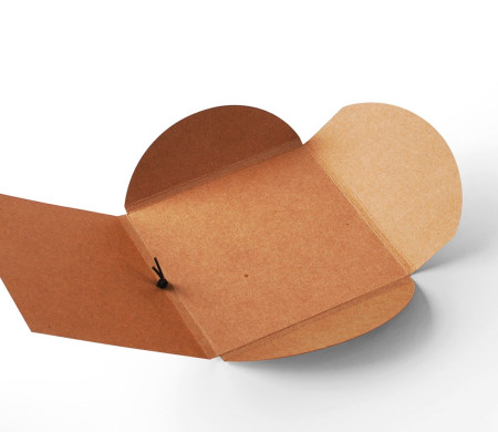 Caja para Fotógrafos ¡Para Entregar Tus Fotos!