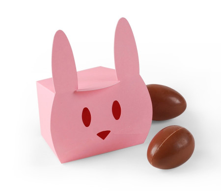 Caja de Cartón en Forma de Conejo Simpático