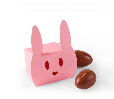 Caja de Cartón en Forma de Conejo Simpático