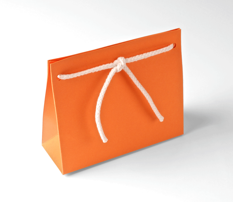 Bolsa Regalo de Cartón con Cordón Incorporado Bolsa Regalo de Cartón con Cordón Incorporado