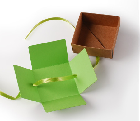 Bonita Caja Regalo con Tapa y Lazo Decorativo