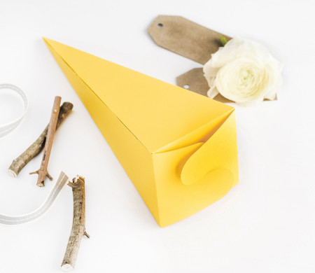 Boîte Cornet pour Fêtes
