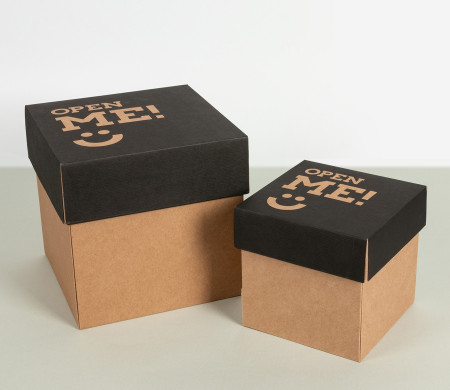 Caja para Envíos con Tapa Independiente