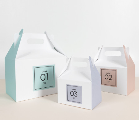 Picknick-Box aus Karton | Mit Henkel und personalisierbar