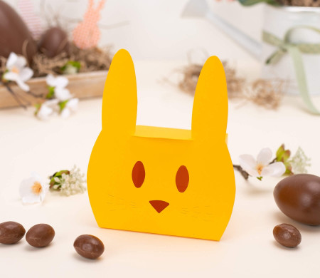 Boîte en carton en forme de lapin sympathique