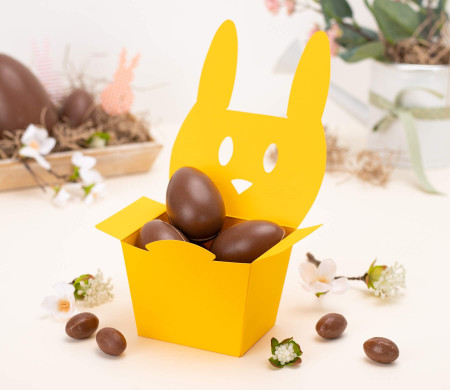 Caja de Cartón en Forma de Conejo Simpático
