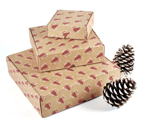 Caja de envío con estampado de Navidad