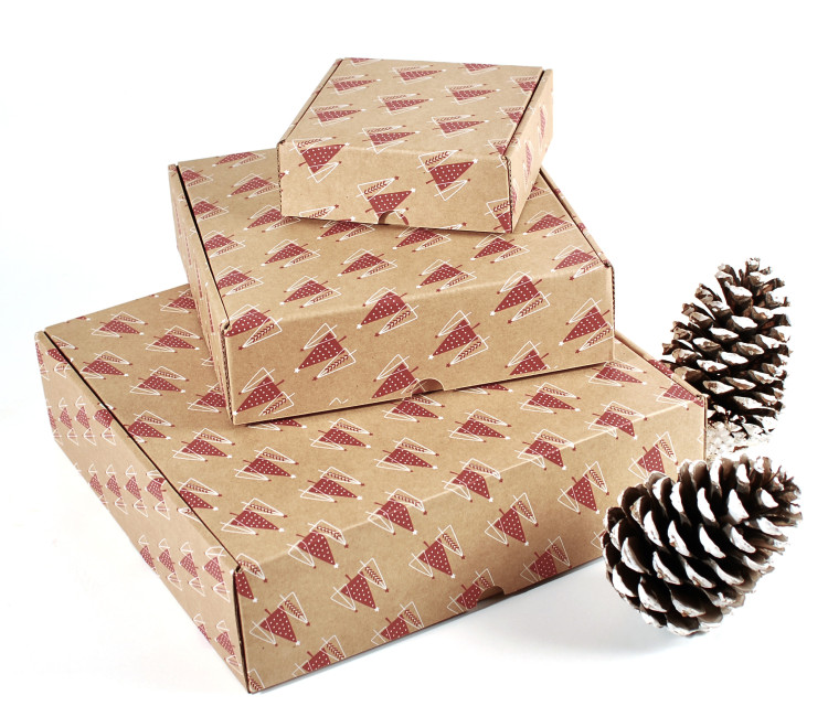 Caja de envío con estampado de Navidad