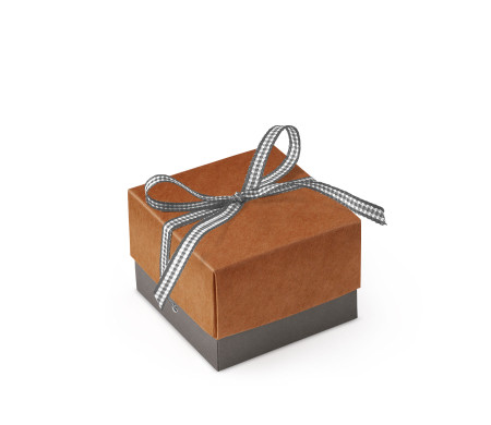 Jolie Boîte Cadeau avec Fermeture et Noeud Décoratif
