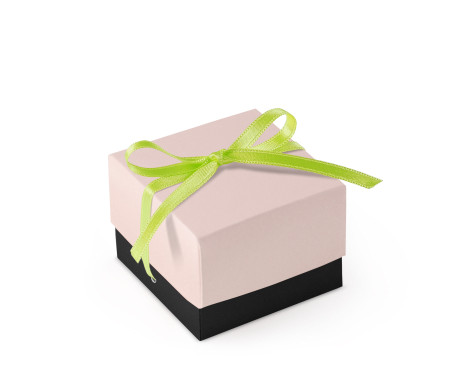 Bonita Caja Regalo con Tapa y Lazo Decorativo