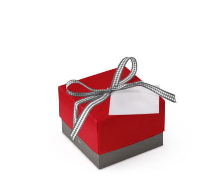 Schöne Geschenkbox mit Deckel und Schleife