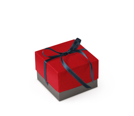 Bonita Caja Regalo con Tapa y Lazo Decorativo