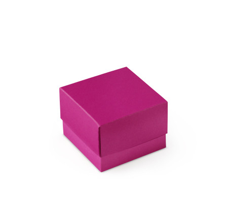Schöne Geschenkbox mit Deckel und Schleife