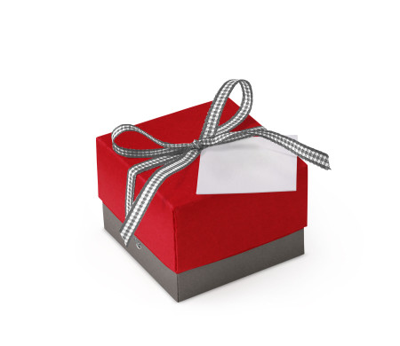 Jolie Boîte Cadeau avec Fermeture et Noeud Décoratif