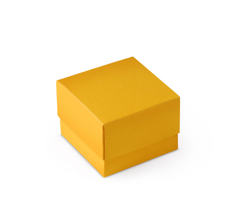 Bonita Caja Regalo con Tapa y Lazo Decorativo Bonita Caja Regalo con Tapa y Lazo Decorativo
