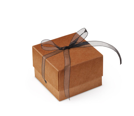 Graziosa Scatola Regalo con Coperchio e Fiocco Decorativo 