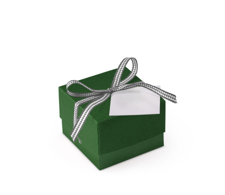 Bonita Caja Regalo con Tapa y Lazo Decorativo
