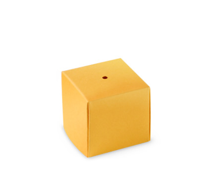 Caja Individual para Cake Pops