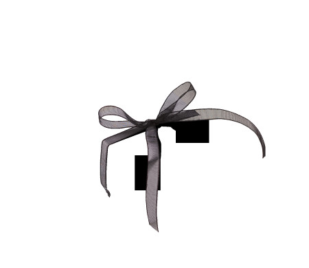 Bonita Caja Regalo con Tapa y Lazo Decorativo