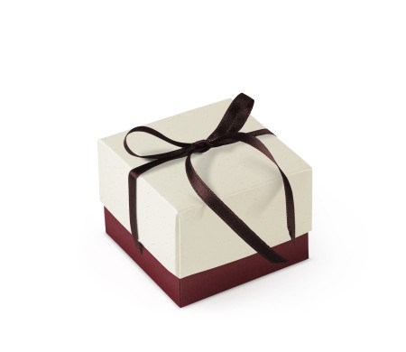 Bonita Caja Regalo con Tapa y Lazo Decorativo