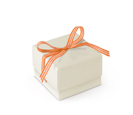 Schöne Geschenkbox mit Deckel und Schleife