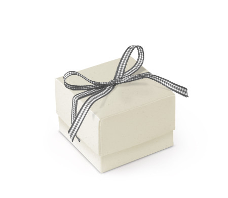 Bonita Caja Regalo con Tapa y Lazo Decorativo