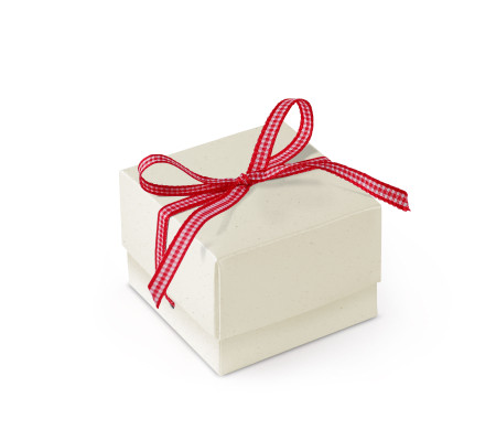Schöne Geschenkbox mit Deckel und Schleife
