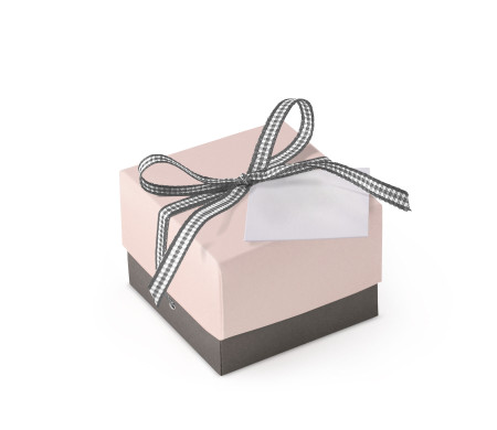 Bonita Caja Regalo con Tapa y Lazo Decorativo