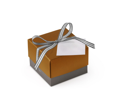 Bonita Caja Regalo con Tapa y Lazo Decorativo