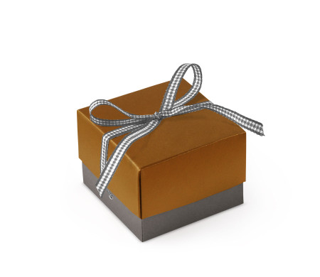 Schöne Geschenkbox mit Deckel und Schleife