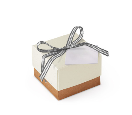 Bonita Caja Regalo con Tapa y Lazo Decorativo