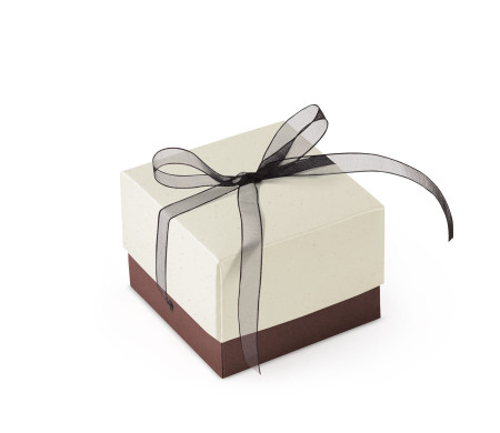 Schöne Geschenkbox mit Deckel und Schleife