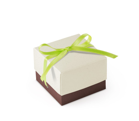Schöne Geschenkbox mit Deckel und Schleife