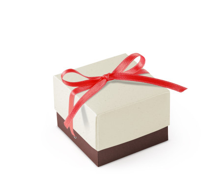 Schöne Geschenkbox mit Deckel und Schleife