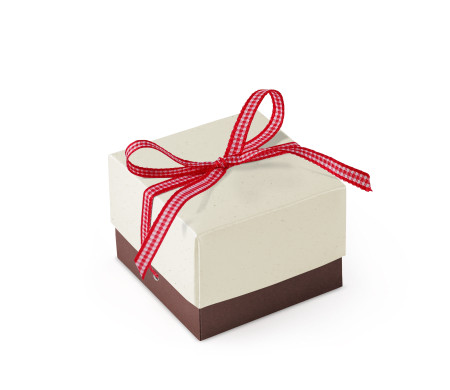 Schöne Geschenkbox mit Deckel und Schleife