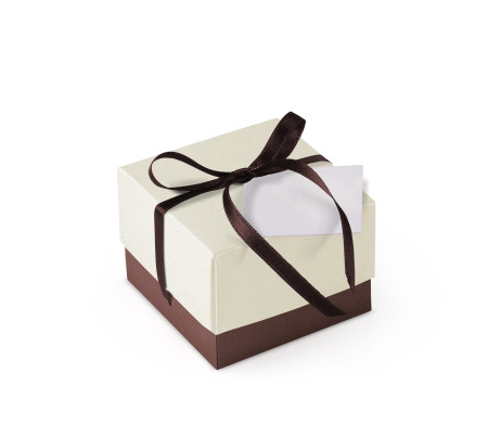 Schöne Geschenkbox mit Deckel und Schleife