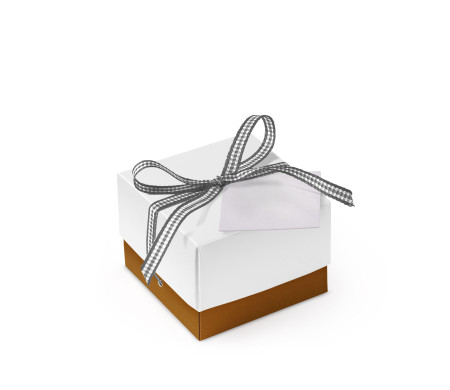 Bonita Caja Regalo con Tapa y Lazo Decorativo