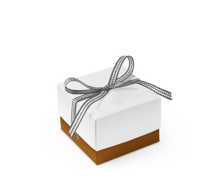 Bonita Caja Regalo con Tapa y Lazo Decorativo