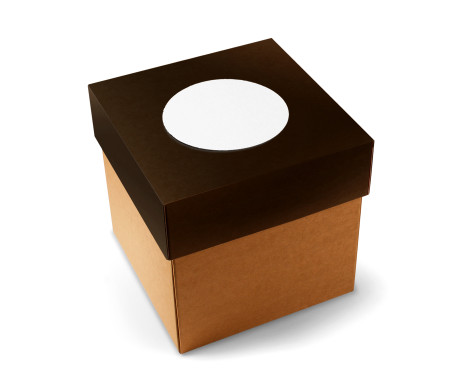 Caja para Envíos con Tapa Independiente