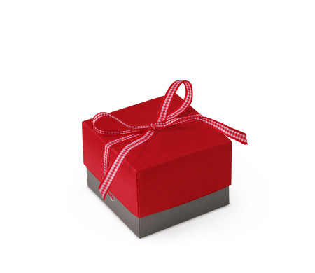 Bonita Caja Regalo con Tapa y Lazo Decorativo