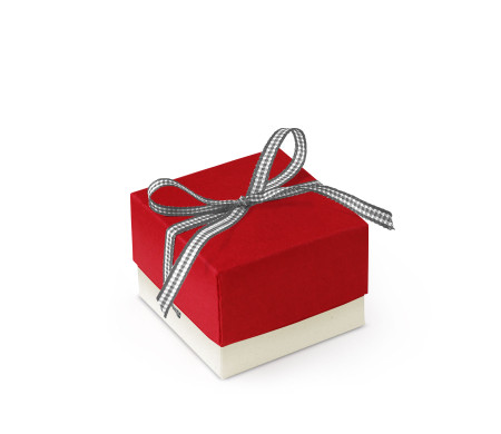 Schöne Geschenkbox mit Deckel und Schleife