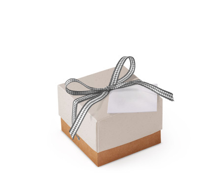Bonita Caja Regalo con Tapa y Lazo Decorativo