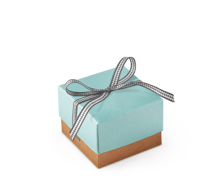 Bonita Caja Regalo con Tapa y Lazo Decorativo