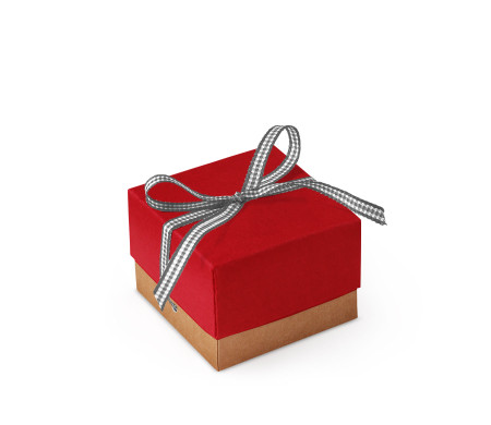 Pretty Gift Box with Lid and Decorative Bow