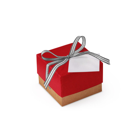 Graziosa Scatola Regalo con Coperchio e Fiocco Decorativo 